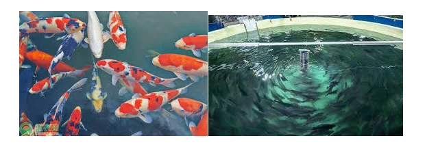 Applications Applications